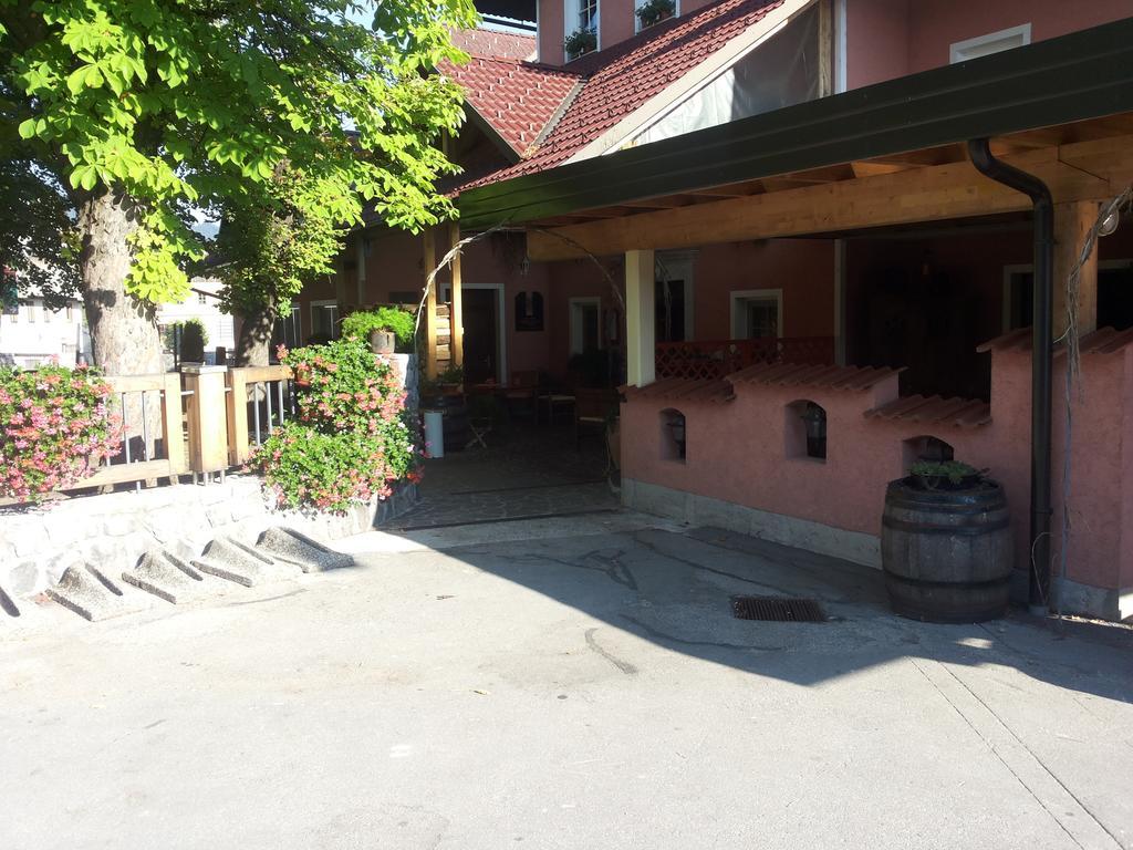 Guesthouse Pri Županu Ziri 外观 照片